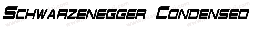 Schwarzenegger Condensed Regular字体转换